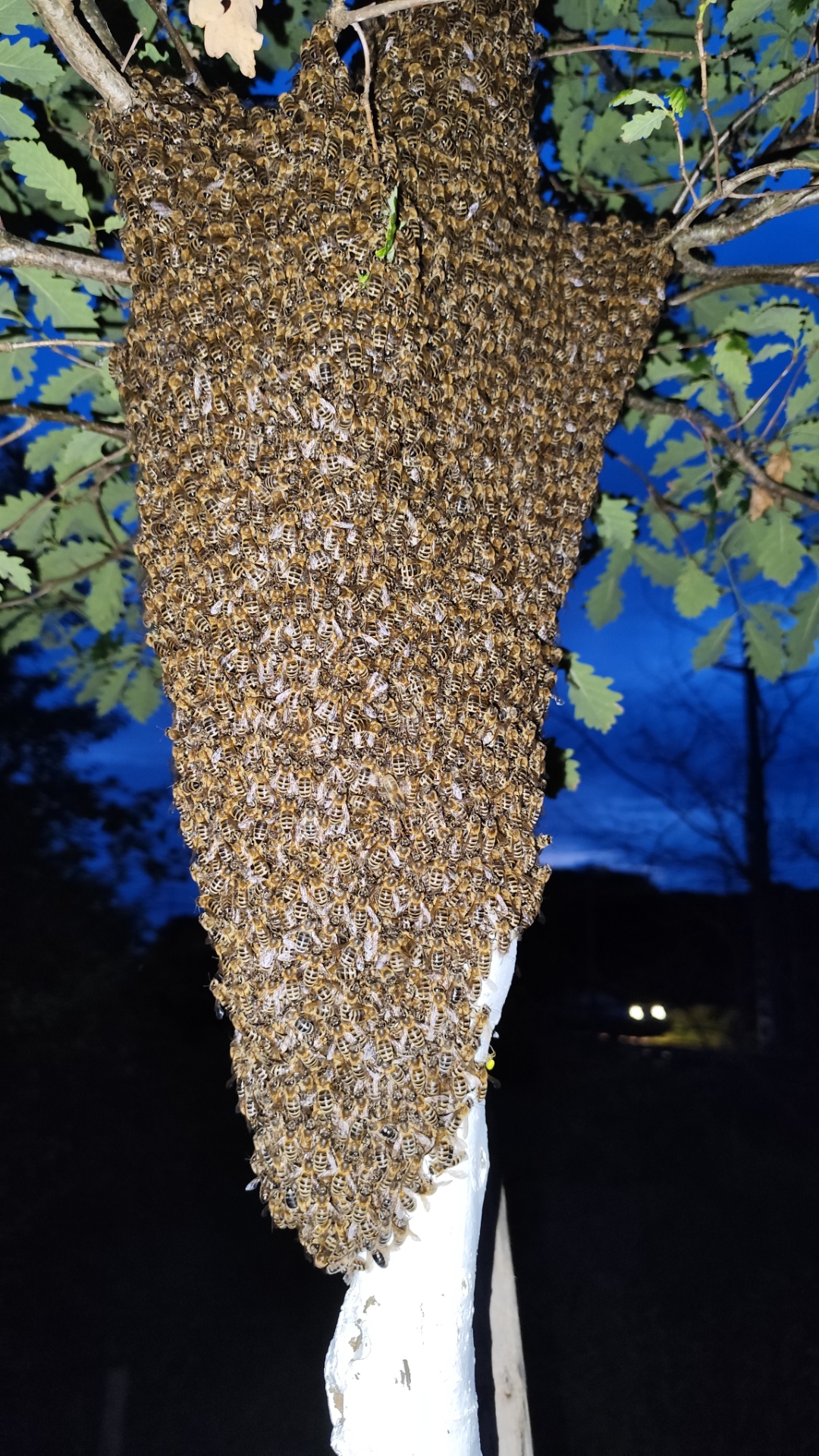 Photo saisonnière 1